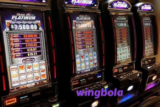 wingbola slide 1